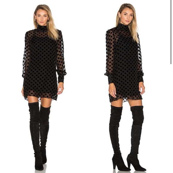 Stone Cold Fox Sheer Velvet Polka Dot Dress - Picture 3 of 16